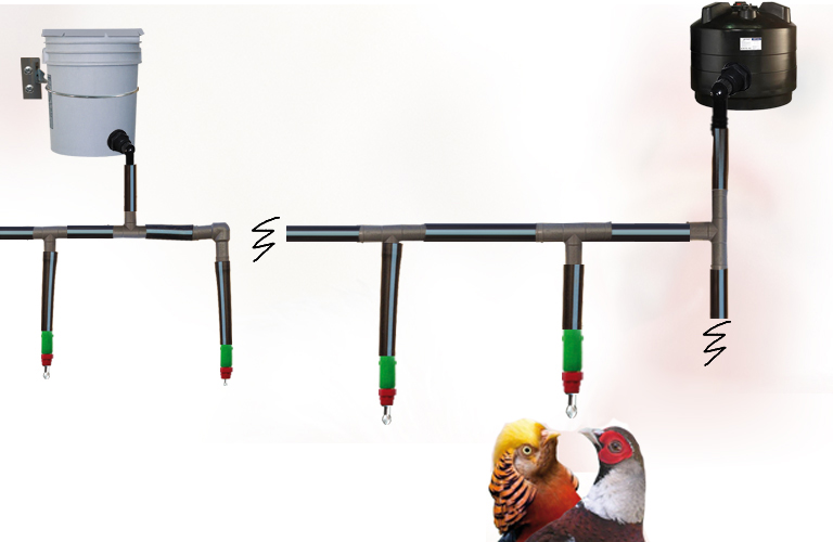 how to make a BirdFaucet bird watering system how to make a BirdFaucet bird watering system